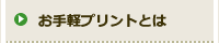 ����y�v�����g�Ƃ́H