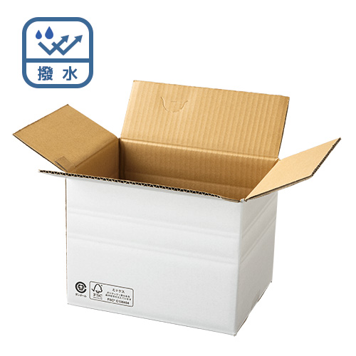 ���� �_���{�[��