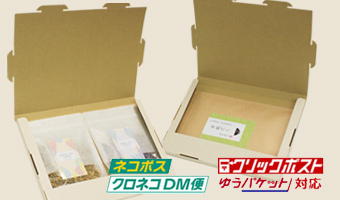エコ 環境配慮商品 発送ケース