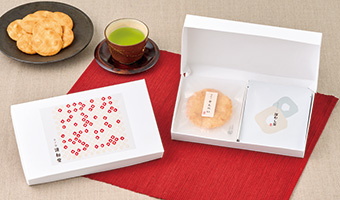 エコ素材 バガス ギフト箱 ギフトケース