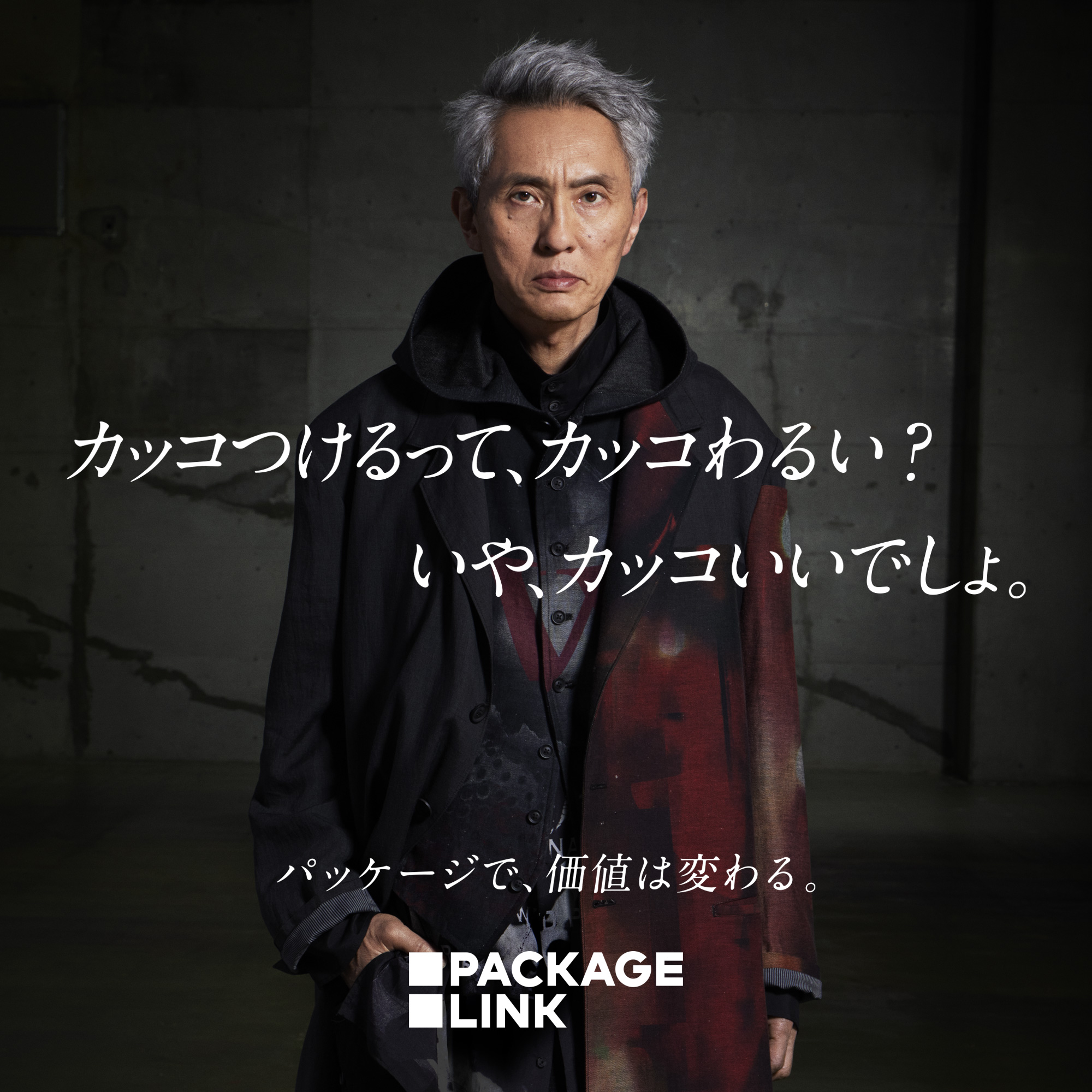 dL񂪏ouPACKAGE LINK@ipbP[WN)vCM