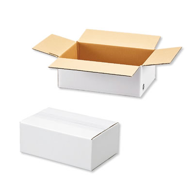 発送できる箱 梱包材 宅配サイズ60 商品No.15936 ケースA式 白60サイズ 250×160×95