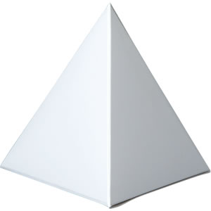 2020製造中止 三角すいカートン 白 中箱 カートン 包装資材の
