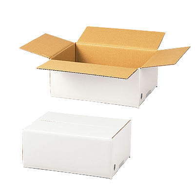 発送できる箱 梱包材 宅配サイズ60 商品No.55660 ケースA式 白60サイズ270×200×115