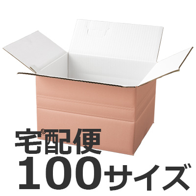 発送できる箱 梱包材 宅配サイズ100 商品No.55699 ケースＡ式ピンク100サイズ345×280×236