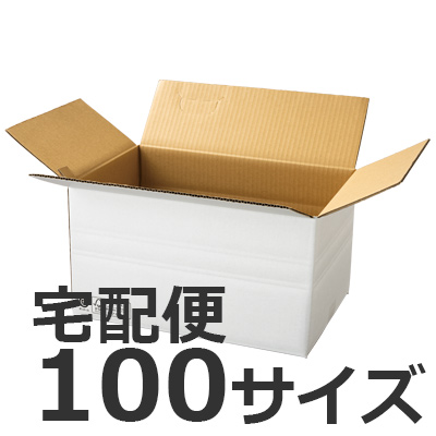 発送できる箱 梱包材 宅配サイズ100 商品No.55706 ケースＡ式撥水白100サイズ420×280×236
