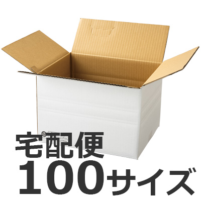 発送できる箱 梱包材 宅配サイズ100 商品No.55707 ケースＡ式撥水白100サイズ345×280×236