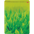 170`200g`bNt V