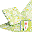 新茶平判包装紙 緑 465×615