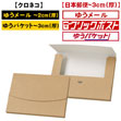ゆうメールで発送できる箱 梱包材 商品No.53202 発送用ケース 215×155 厚み20mm